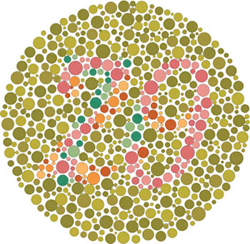 29 29