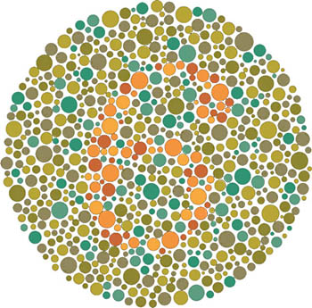 6 6